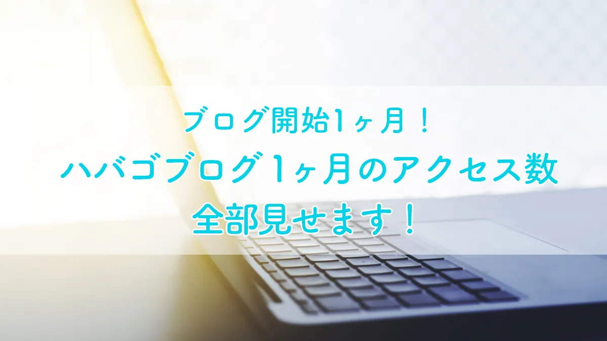 ブログ開始1ヶ月！ ハバゴブログ 1ヶ月のアクセス数、全部見せます！