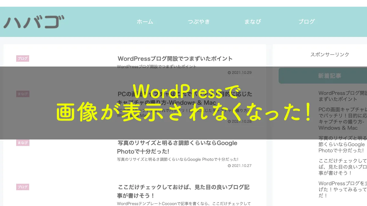 WordPressで画像が表示されなくなった！